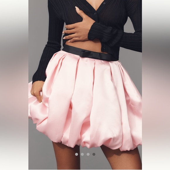 Anthropologie NWT Hutch Full Pleated Bubble Mini Skirt size 10. - Picture 4 of 7